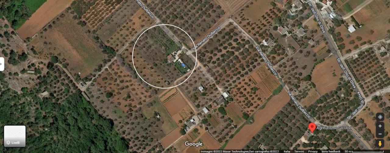Villa Piana - Con Piscina E Giardino Privato Nel Salento تريكاس المظهر الخارجي الصورة